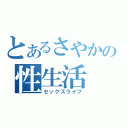 とあるさやかの性生活（セックスライフ）