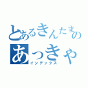 とあるきんたまのあっきゃん（インデックス）