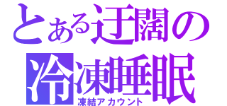 とある迂闊の冷凍睡眠（凍結アカウント）