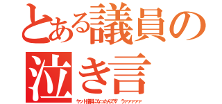 とある議員の泣き言（ヤット議員になったんです うァァァァァ）