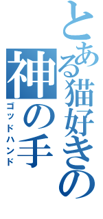 とある猫好きの神の手（ゴッドハンド）