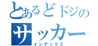 とあるどドジのサッカーバカ（インデックス）