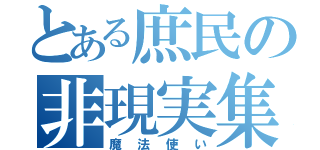 とある庶民の非現実集団（魔法使い）