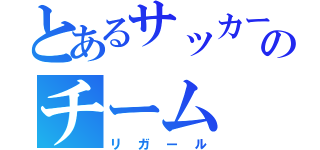 とあるサッカーのチーム（リガール）