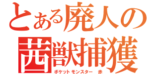 とある廃人の茜獣捕獲（ポケットモンスター　赤）