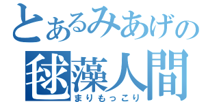 とあるみあげの毬藻人間（まりもっこり）