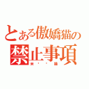 とある傲嬌猫の禁止事項（米丢丢猫）