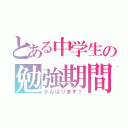 とある中学生の勉強期間（がんばります！）