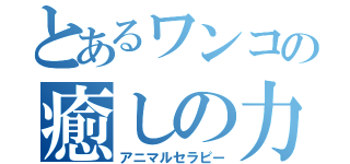 とあるワンコの癒しの力（アニマルセラピー）