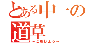 とある中一の道草（～にちじょう～）