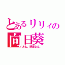 とあるリリィの向日葵（あと、野田さん。）