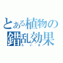 とある植物の錯乱効果（たいま）