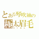 とある琴吹紬の極太眉毛（たくあん）