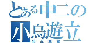 とある中二の小鳥遊立花（邪王真眼）