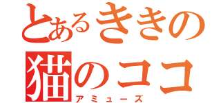 とあるききの猫のココとハナ（アミューズ）