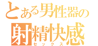 とある男性器の射精快感（セックス）