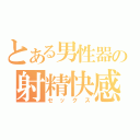 とある男性器の射精快感（セックス）