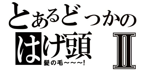 とあるどっかのはげ頭Ⅱ（髪の毛～～～！）