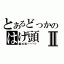 とあるどっかのはげ頭Ⅱ（髪の毛～～～！）