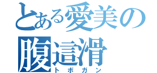 とある愛美の腹這滑（トボガン）