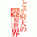 とある府大の柴原世界（シバハララボ）