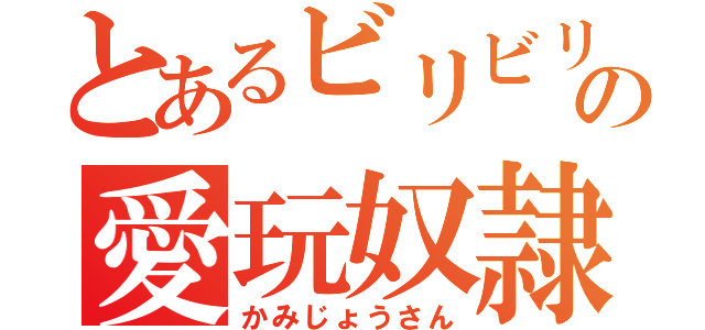 とあるビリビリの愛玩奴隷（かみじょうさん）