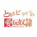 とあるビリビリの愛玩奴隷（かみじょうさん）