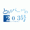 とあるパークビュー南町の２０３号室（ニーマルサン）