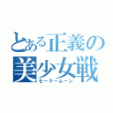 とある正義の美少女戦士（セーラームーン）