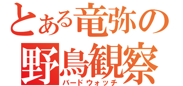 とある竜弥の野鳥観察（バードウォッチ）