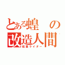 とある蝗の改造人間（仮面ライダー）