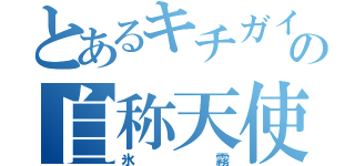 とあるキチガイの自称天使（氷霧）