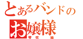 とあるバンドのお嬢様（琴吹　紬）