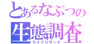 とあるなぷつの生態調査（ライフリサーチ）