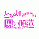 とある加速世界の黒い睡蓮（ブラックロータス）