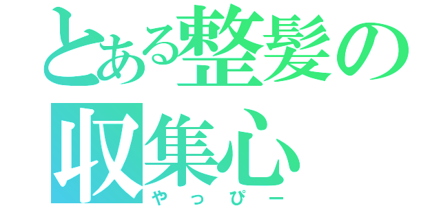 とある整髪の収集心（やっぴー）