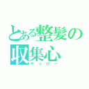 とある整髪の収集心（やっぴー）