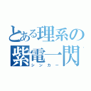 とある理系の紫電一閃（シンカー）