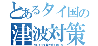 とあるタイ国の津波対策（ガレキで多数の丘を築いた）