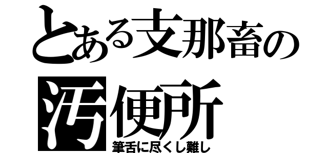 とある支那畜の汚便所（筆舌に尽くし難し）