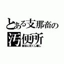 とある支那畜の汚便所（筆舌に尽くし難し）