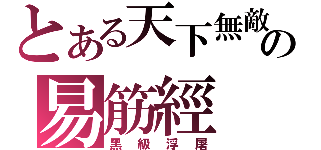 とある天下無敵の易筋經（黑級浮屠）