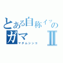 とある自称イッパソのガマⅡ（マダムシンコ）