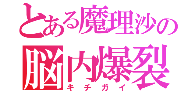 とある魔理沙の脳内爆裂（キチガイ）