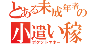 とある未成年者の小遣い稼ぎ（ポケットマネー）