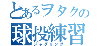 とあるヲタクの球投練習（ジャグリング）