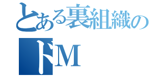 とある裏組織のドＭ（）