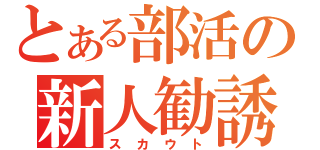 とある部活の新人勧誘（スカウト）