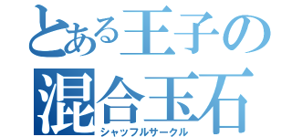 とある王子の混合玉石（シャッフルサークル）