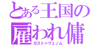 とある王国の雇われ傭兵（ガスト＝ヴェノム）